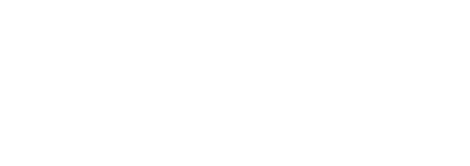 Entel